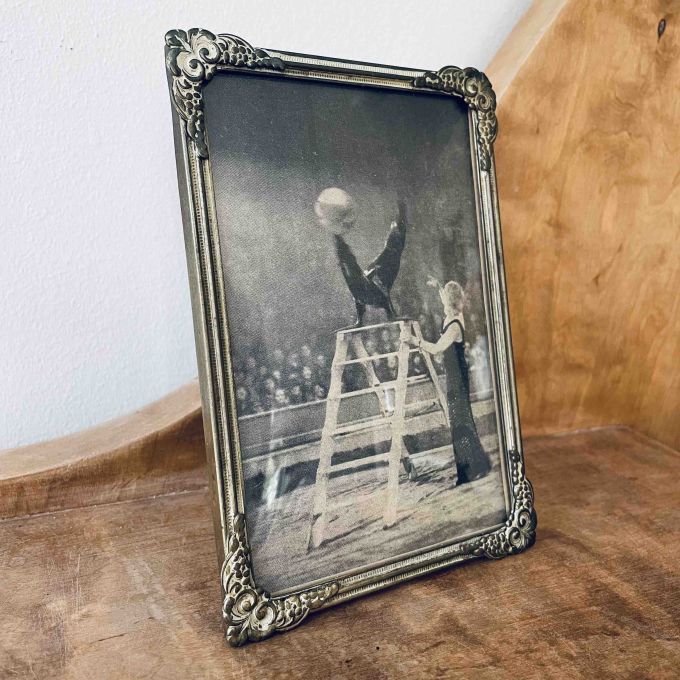 Mässingsram motiv säl