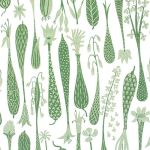 TYG Printemps - STIG LINDBERG