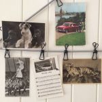 Vykort - set med 5 st