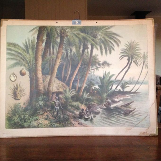 Skolplansch Kokosnöt, Stillahavsö.