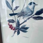 Tavla träram fågel