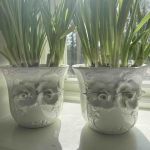 Paret krukor Bassano Italy