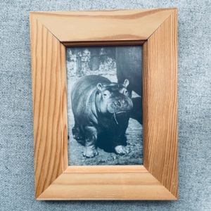 Träram flodhästmotiv