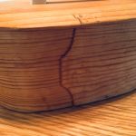 Liten svepask m lock