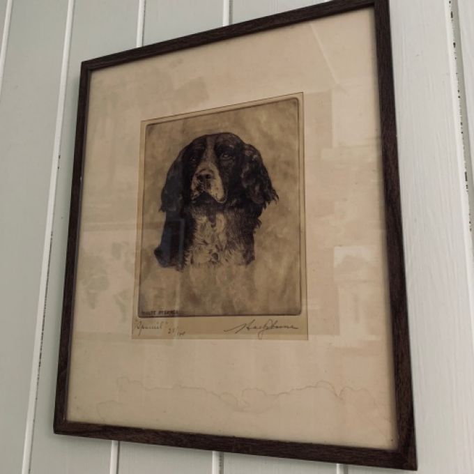 Etsning av Malte Sterner