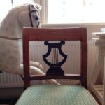 Stol Biedermeier 1800-tal