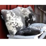 Stolsdyna Fårskinn - 33 cm