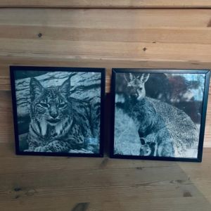 Paret kvadratiska ramar m djurmotiv