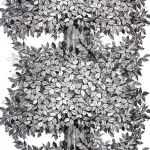 Tyg - Hassel - Viola Gråsten - 100% Linne HANDTRYCK