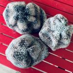 Set med 3 st hemstickade mössor