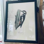 Tavla med träram Hackspett