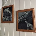 Paret träramar med äldre djurmotiv