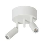 Taklampa Arholma 2 ljuskällor - 2 färger