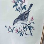 Tavla träram fågel