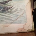 Skolplansch Kokosnöt, Stillahavsö.