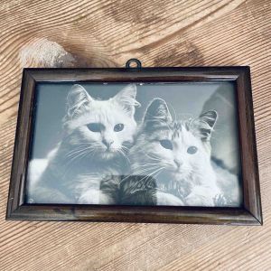 Liten tavla med träram och kattfotografi