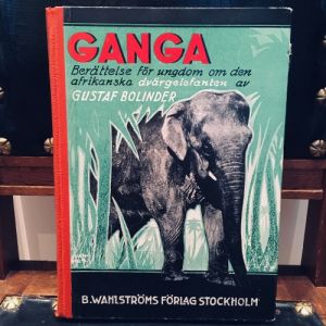 Bok Ganga - den afrikanska dvärgelefanten