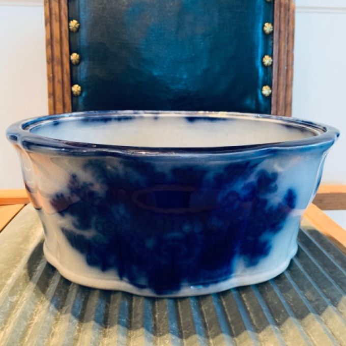 Urna karott mörkblåa blommor