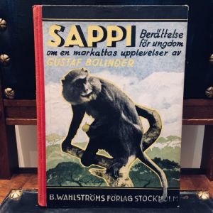 Bok Sappi Markattan