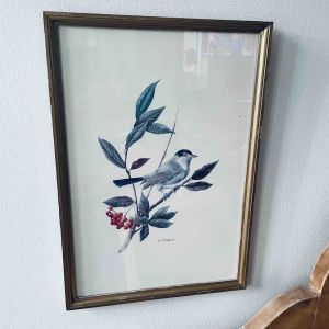 Tavla träram fågel