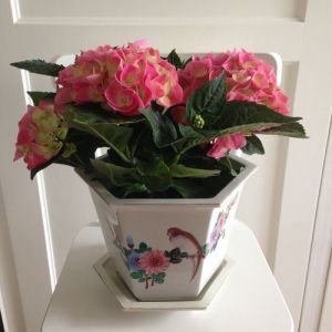 Ytterfoder kinesiskt