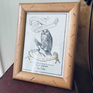 Träram med vykort från Minalima Harry Potter