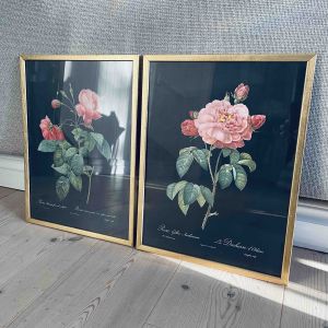 Set med 2 fina tavlor - planscher på rosor