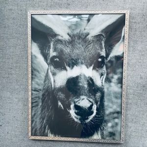 Ram i nysilver m hjortdjursmotiv