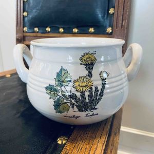 Ytterfoder eller skål Tussilago