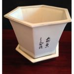 Ytterfoder kinesiskt