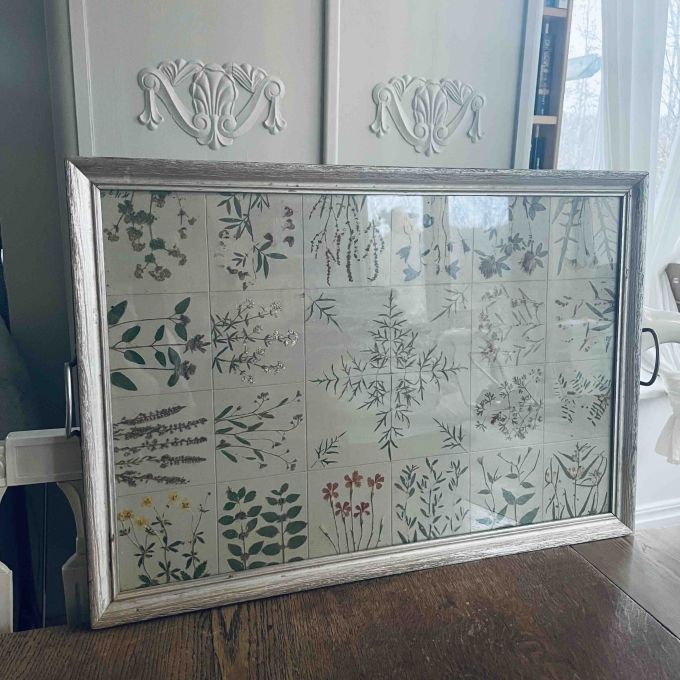 Stor bricka - torkade blommor under glas