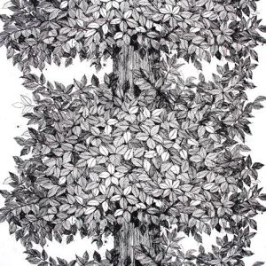 Tyg - Hassel - Viola Gråsten - 100% Linne HANDTRYCK