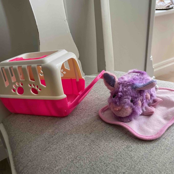 Fickplunta glas - hundmotiv