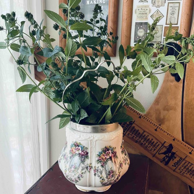 Kruka Vas med metallhandtag