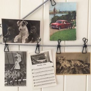 Vykort - set med 5 st