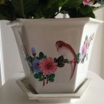 Ytterfoder kinesiskt