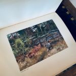 Bruno Liljefors - En studie av Russow