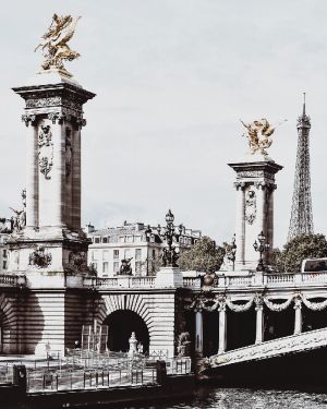 Plansch Bridges of Paris 70*50 cm