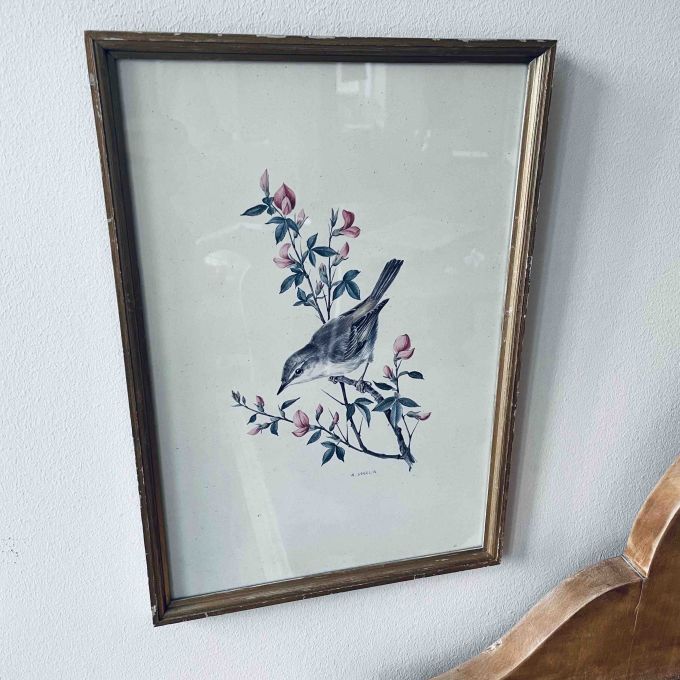 Tavla träram fågel