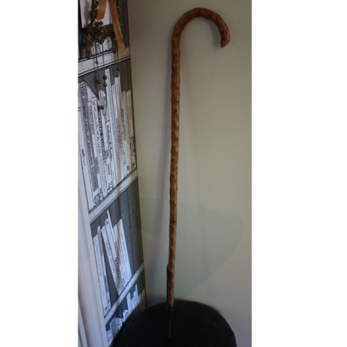 Antik käpp med smidesfot