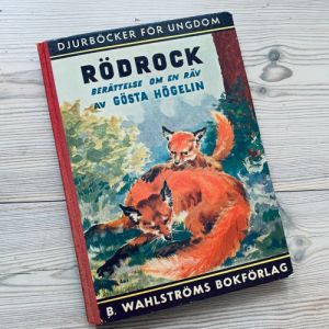 Rödrock - berättelse om en räv