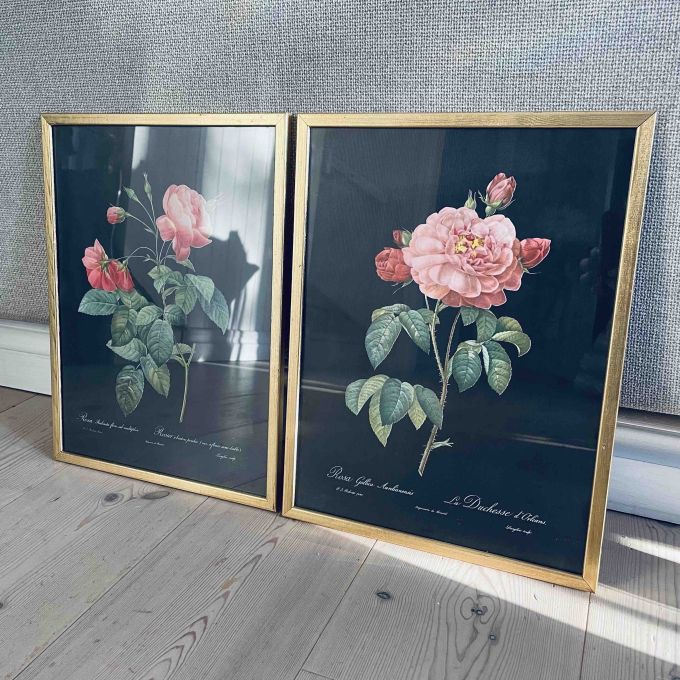 Set med 2 fina tavlor - planscher på rosor