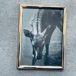 Ram guldig m djurmotiv