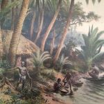 Skolplansch Kokosnöt, Stillahavsö.